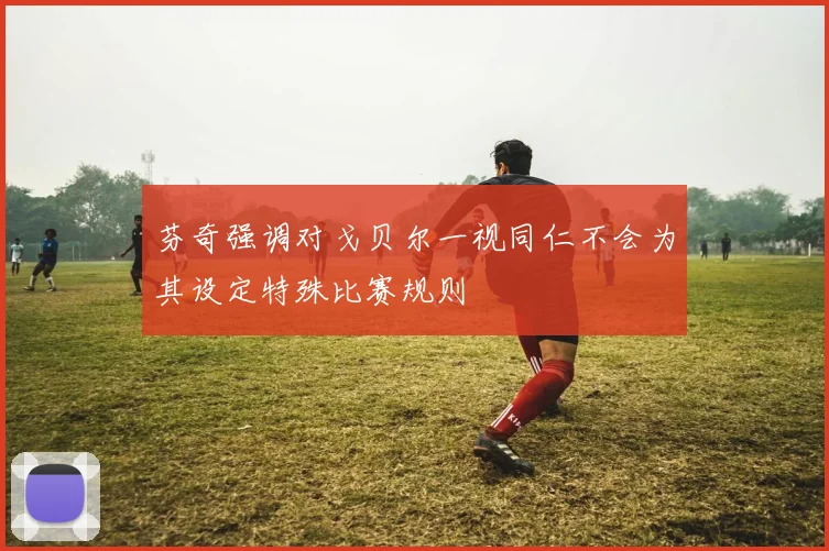 芬奇强调对戈贝尔一视同仁不会为其设定特殊比赛规则