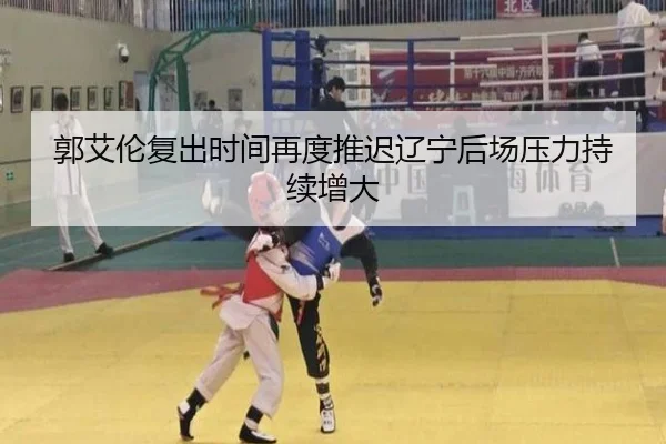 郭艾伦复出时间再度推迟辽宁后场压力持续增大 - BEIBOSPORTS